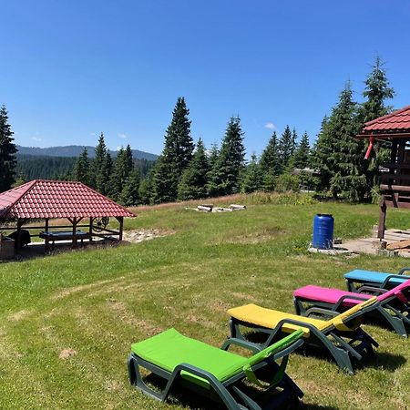 Cabana Transilvania Beliş Buitenkant foto
