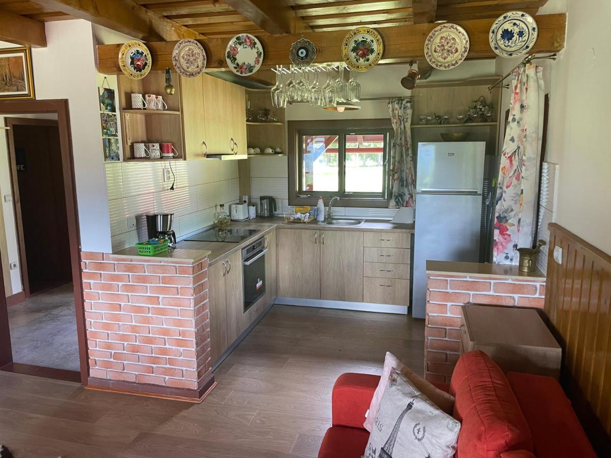Cabana Transilvania Beliş Buitenkant foto