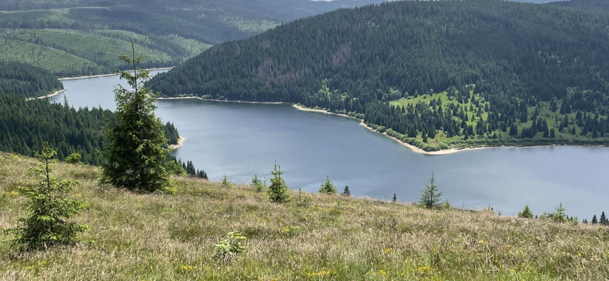 Cabana Transilvania Beliş Buitenkant foto