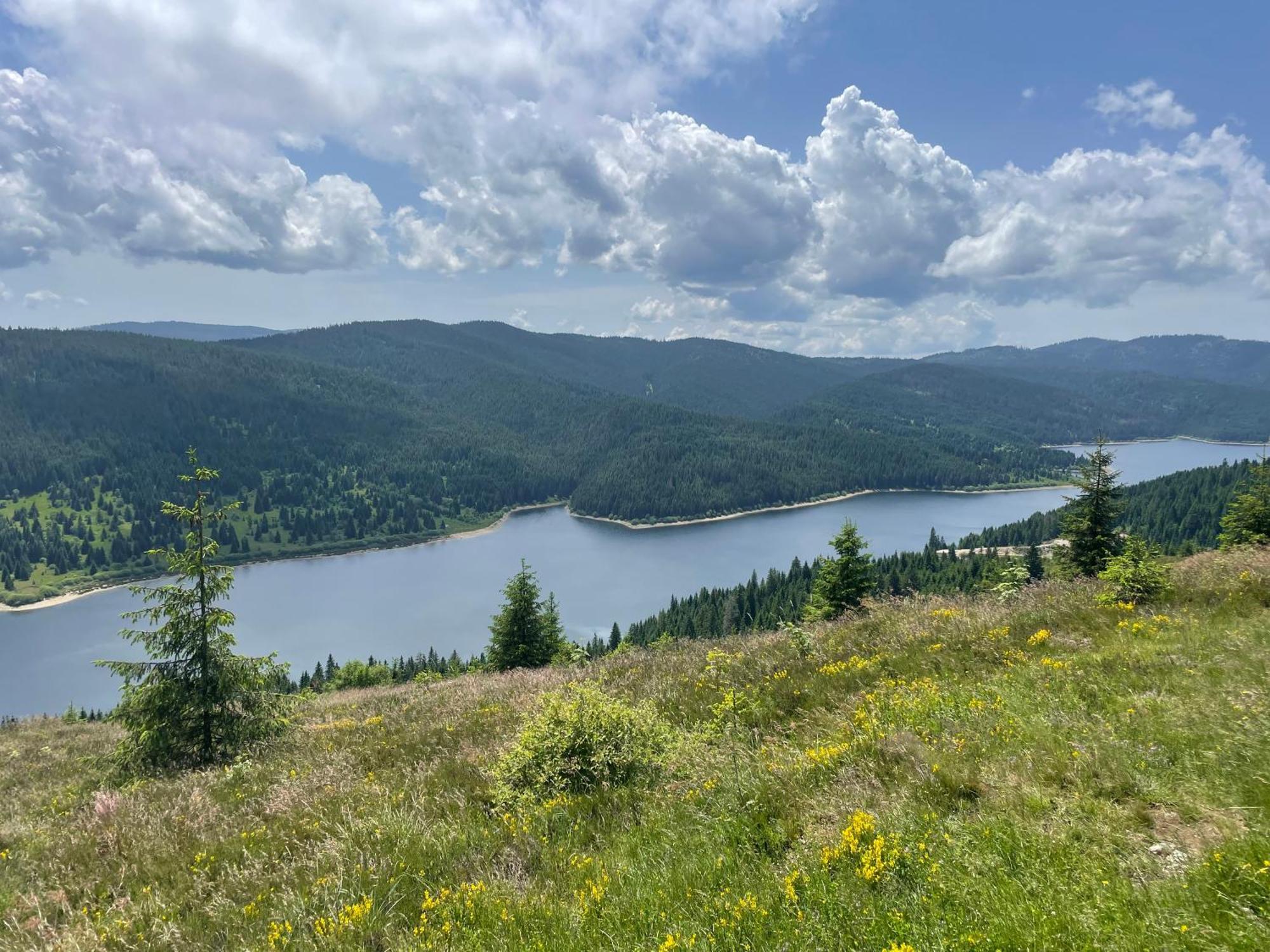 Cabana Transilvania Beliş Buitenkant foto