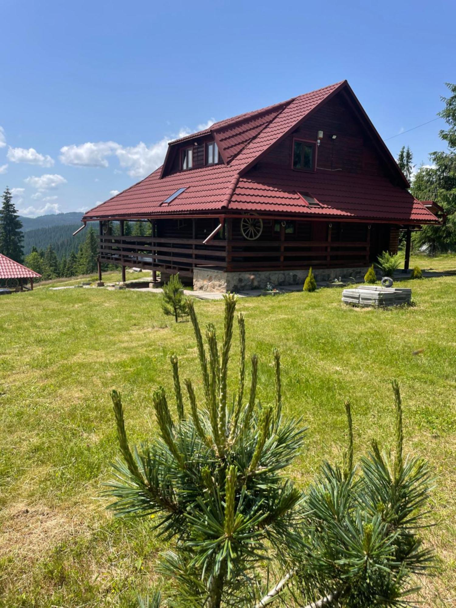 Cabana Transilvania Beliş Buitenkant foto